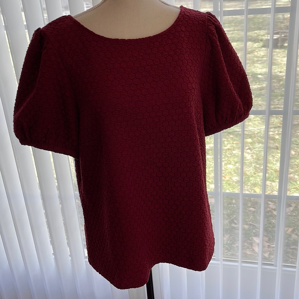 Cranberry Puff Sleeve Top L